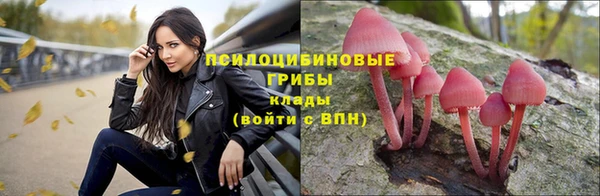 соль курить ск Алзамай