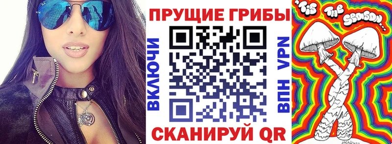 Псилоцибиновые грибы Magic Shrooms  купить закладку  Мамоново 