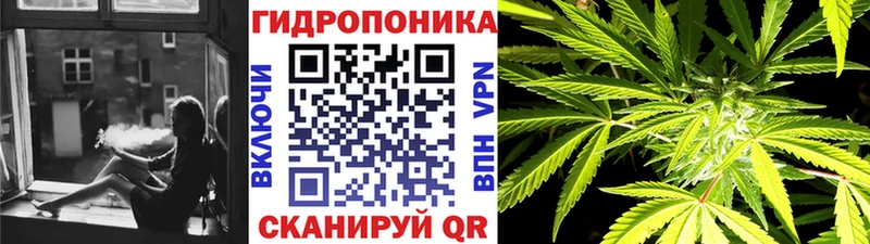 Марихуана тримм  как найти наркотики  гидра ССЫЛКА  Мамоново 
